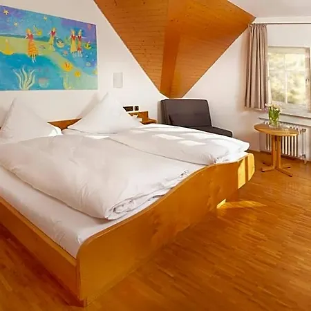 Schweizerhof Πανδοχείο 2*